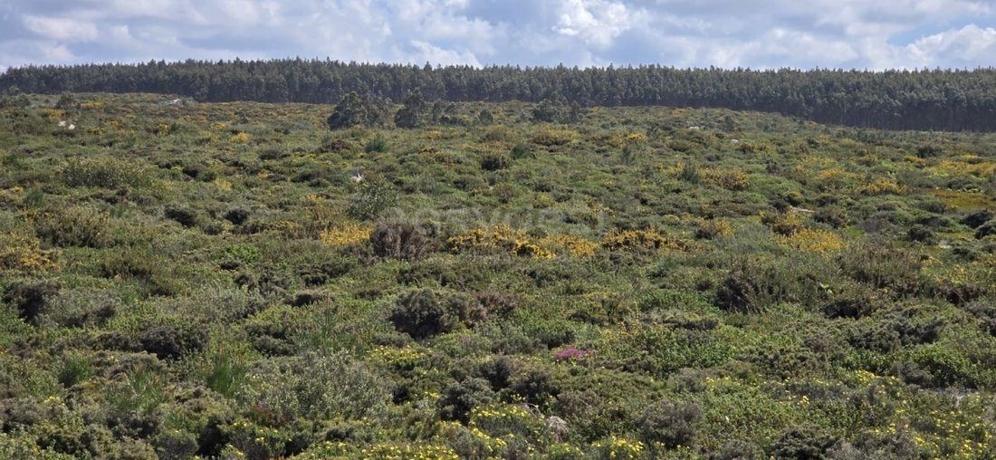 Land in Pataias, Leiria District, Portugal 4 - 15739843