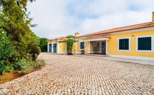Finca a Santo Estevão, Distretto di Santarém, Portogallo 1