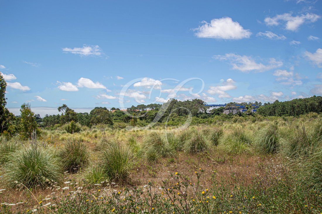 Land in Sintra, Lisbon, Portugal 1 - 12274679