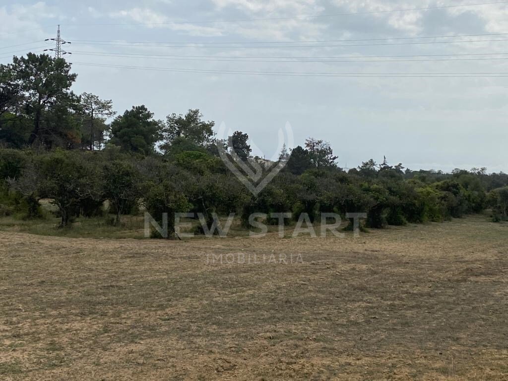 Land in Moncarapacho, Algarve, Portugal 5 - 12345246