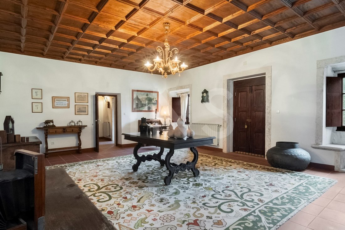 Finca in Gondemaria e Olival, Santarem District, Portugal 3 - 16042760