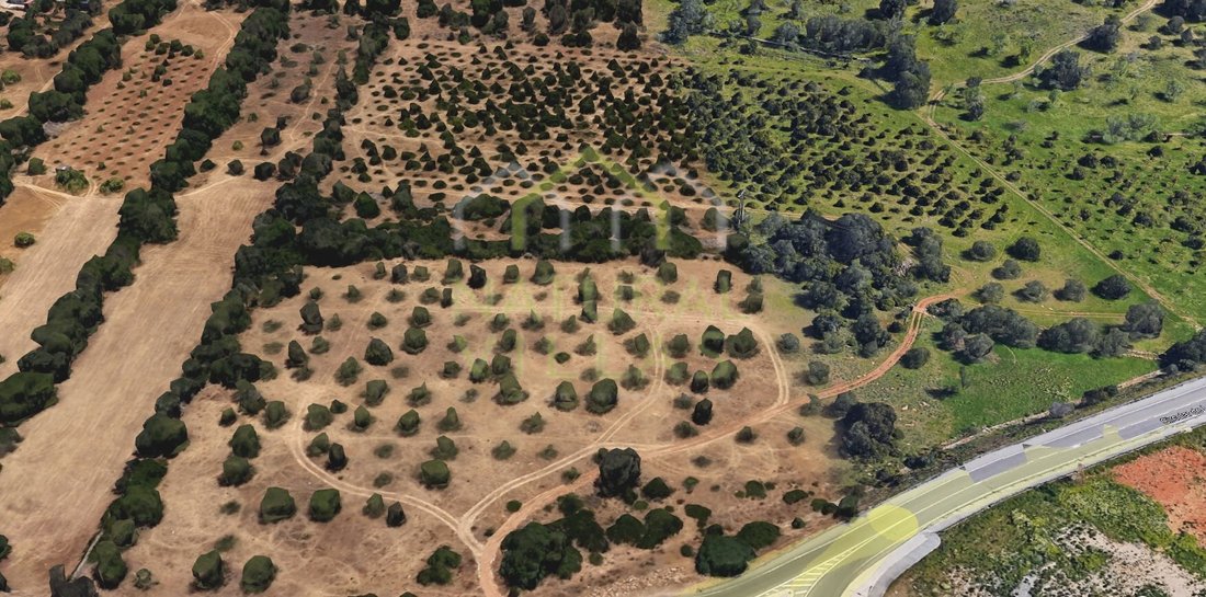 Land in Antime e Silvares (Sao Clemente), Braga, Portugal 5 - 16488124