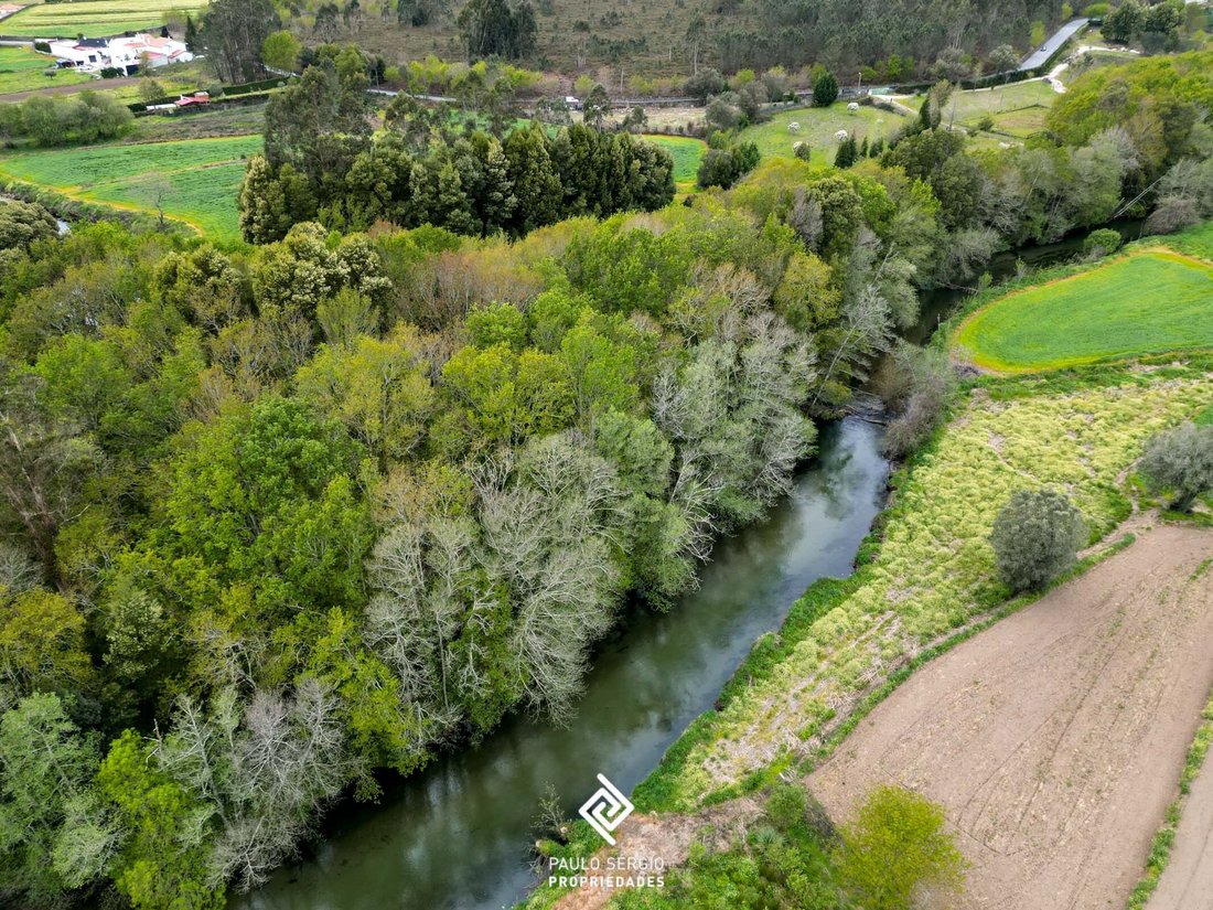 Land in Fragoso, Braga, Portugal 1 - 15497645