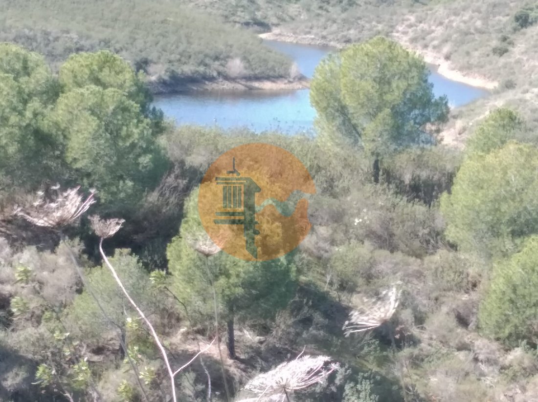 Tenuta a Boliqueime, Algarve, Portogallo 5 - 11812990