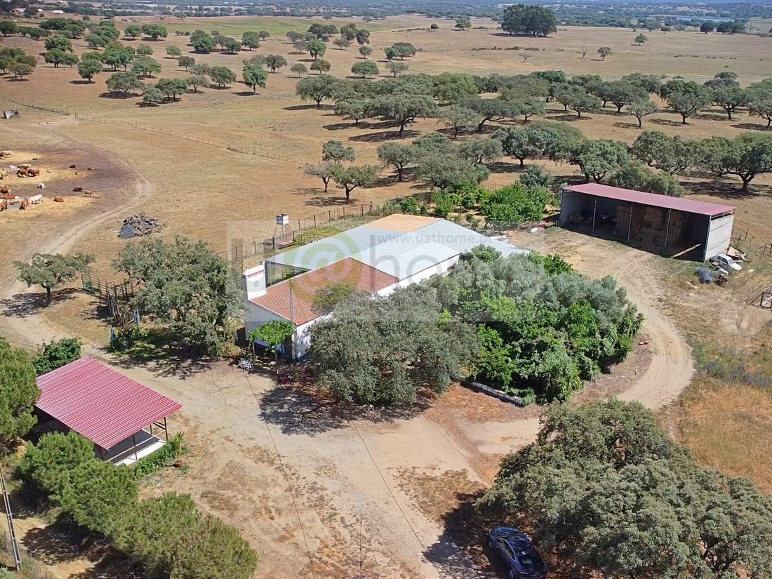 Land in Santiago do Escoural, Évora District, Portugal 5 - 12878192