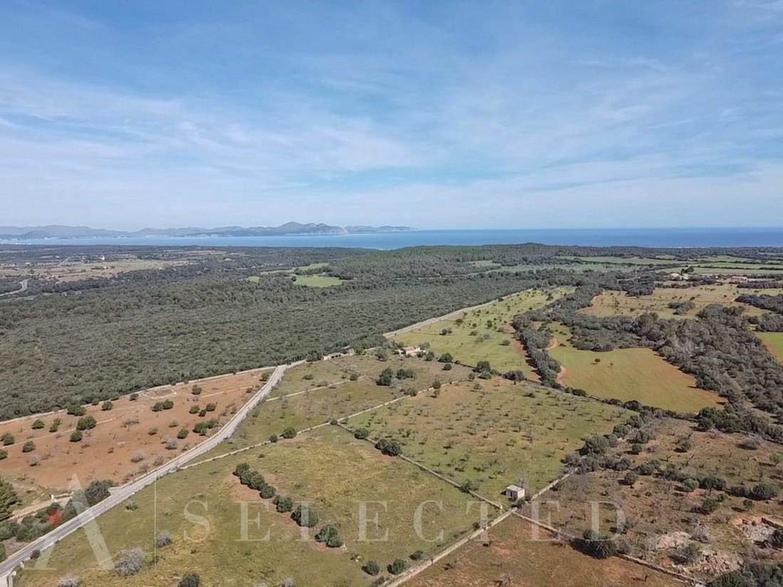 Land in Petra, Balearic Islands, Spain 1 - 14387913