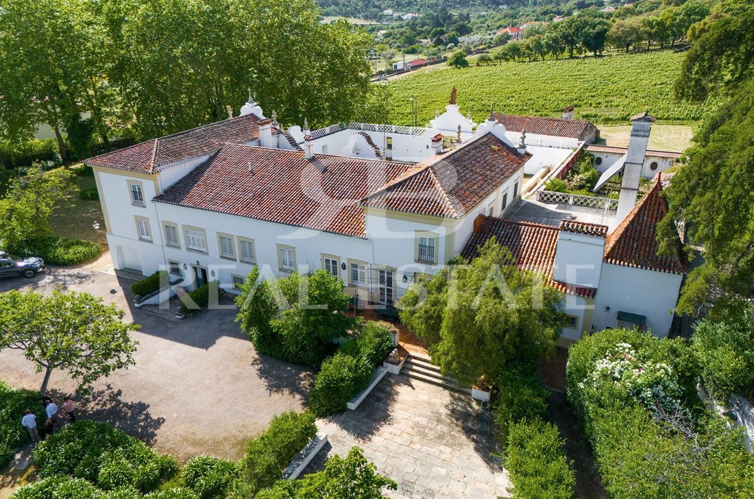 Finca in Reguengo e Sao Juliao, Portalegre District, Portugal 3 - 15262565