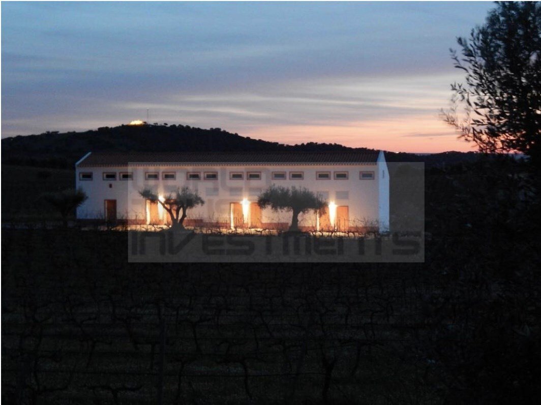 Finca in Vila de Frades, Beja District, Portugal 3 - 12464065