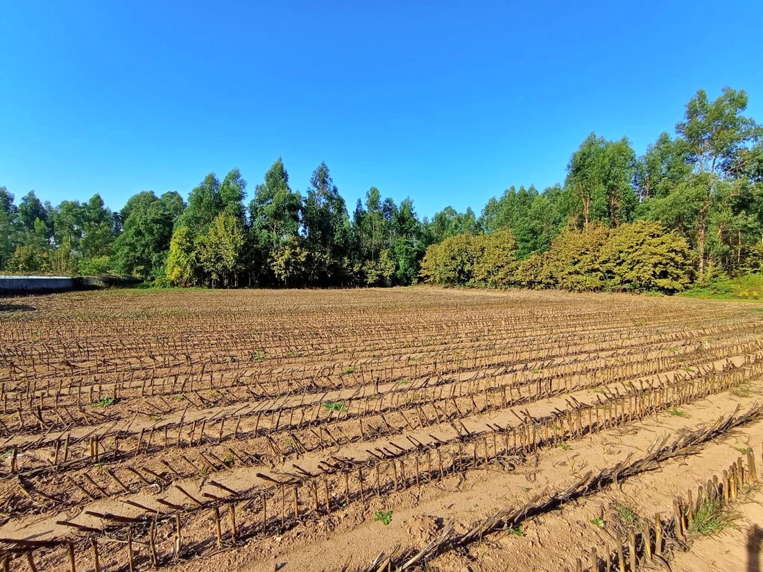 Land in Alfena, Porto District, Portugal 4 - 16472474