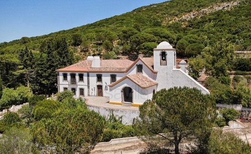 Finca in Azeitao (Sao Lourenco e Sao Simao), Setubal, Portugal 1