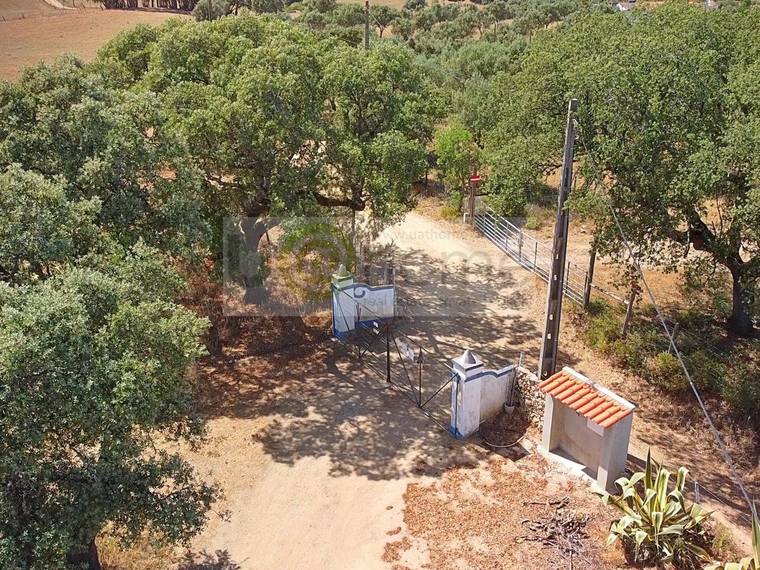 Land in Santiago do Escoural, Évora District, Portugal 4 - 12878192