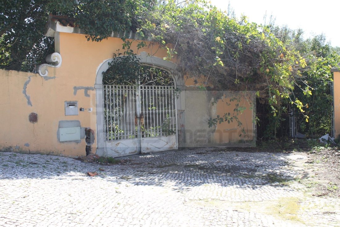 Finca in Cascais e Estoril, Lisbon, Portugal 3 - 12463882