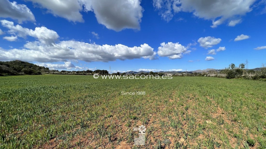 Land in Arta, Balearic Islands, Spain 5 - 12629095