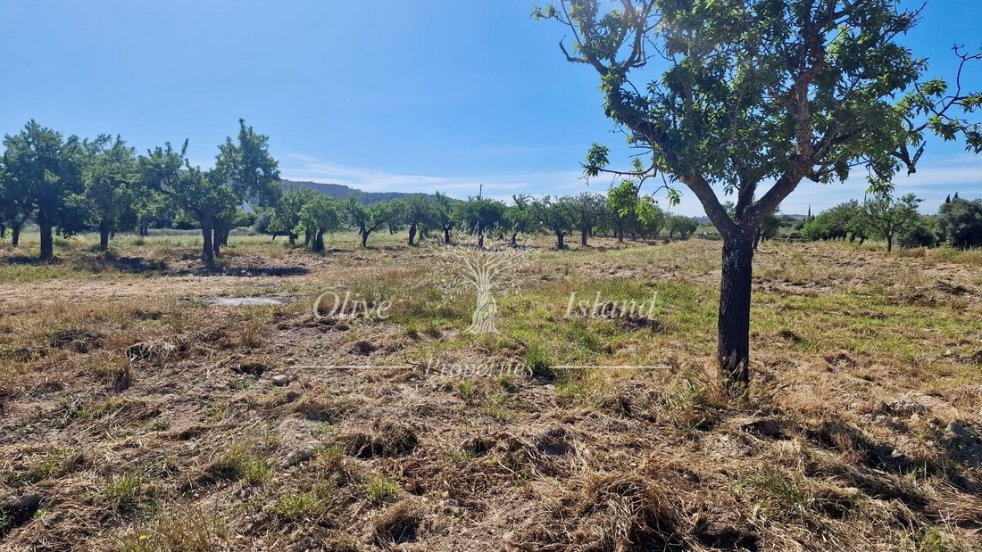 Land in Santa Maria del Cami, Balearic Islands, Spain 3 - 14947542