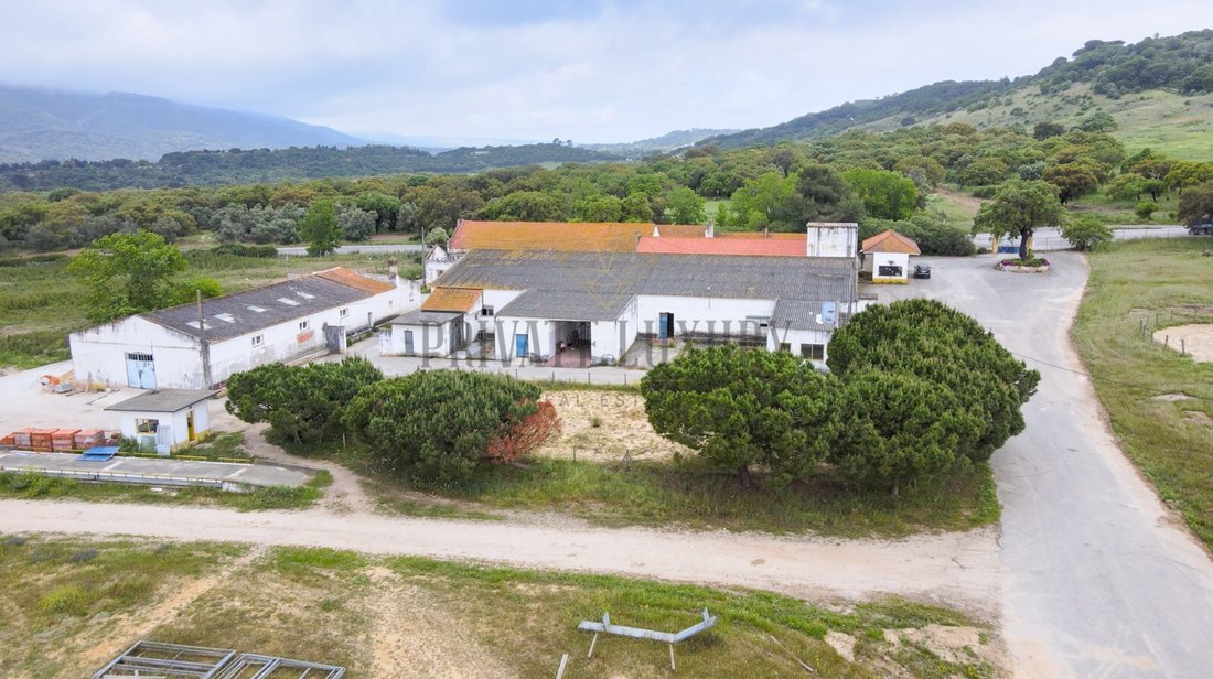 Finca in Azeitao (Sao Lourenco e Sao Simao), Setubal, Portugal 5 - 12489699