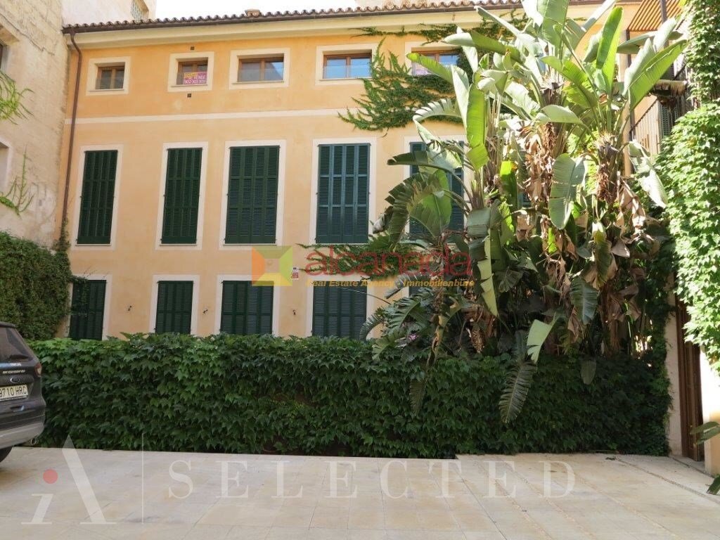 Apartment in Palma, Balearic Islands, Spain 1 - 15545883