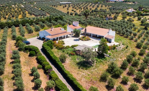 Finca in Moura (Santo Agostinho e Sao Joao Batista) e Santo Amador, Beja, Portugal 1