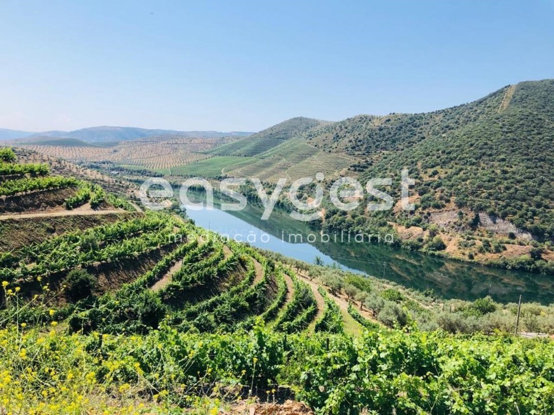 Finca in Ligares, Braganca District, Portugal 1 - 15778345