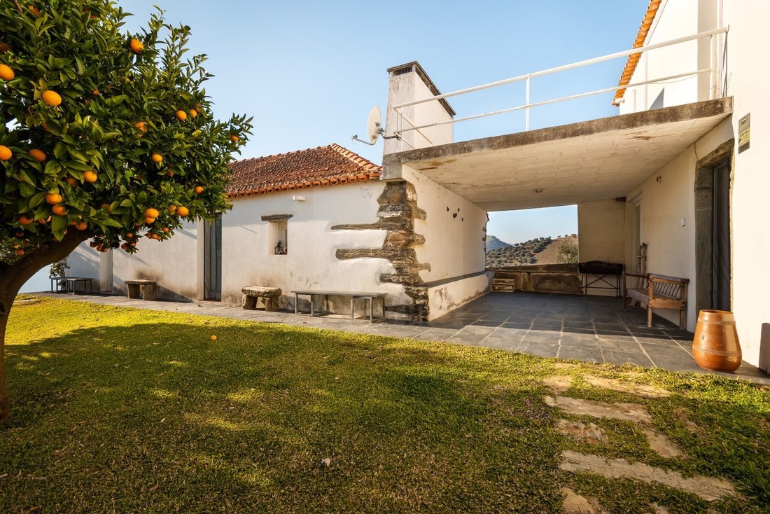 Finca in Ervedosa do Douro, Viseu District, Portugal 3 - 15092239