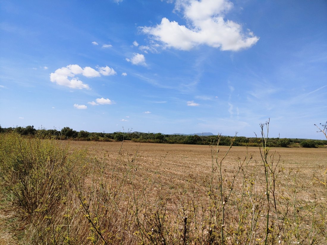 Land in Manacor, Balearic Islands, Spain 2 - 16392543