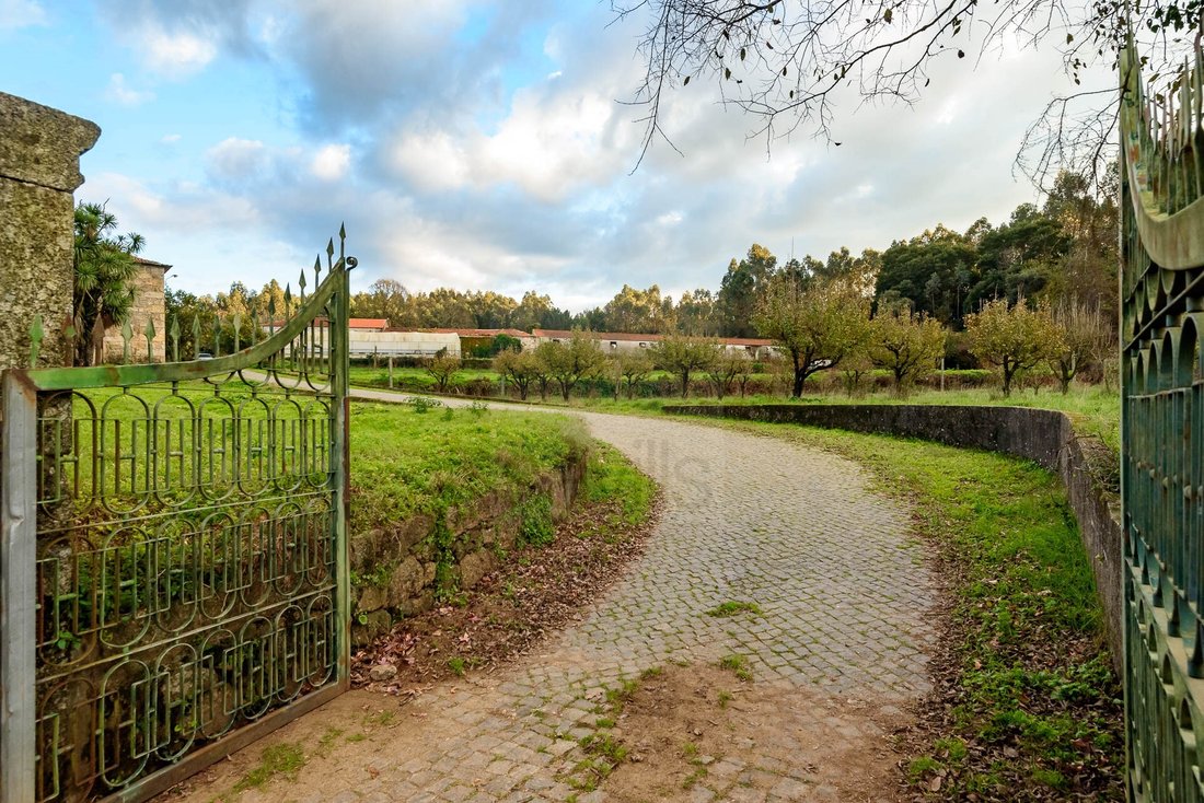 Finca in Gondifelos, Cavaloes e Outiz, Braga, Portugal 3 - 15159311