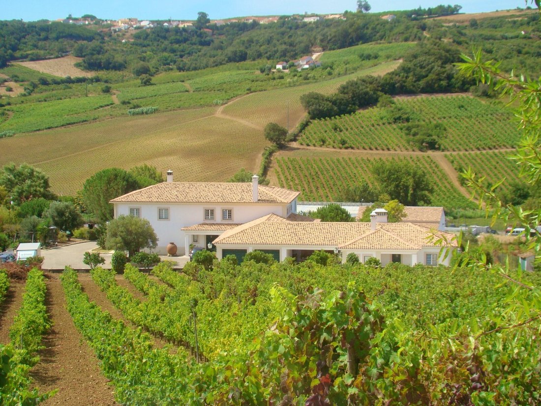 Finca in Carregado e Cadafais, Lisbon, Portugal 1 - 11153064