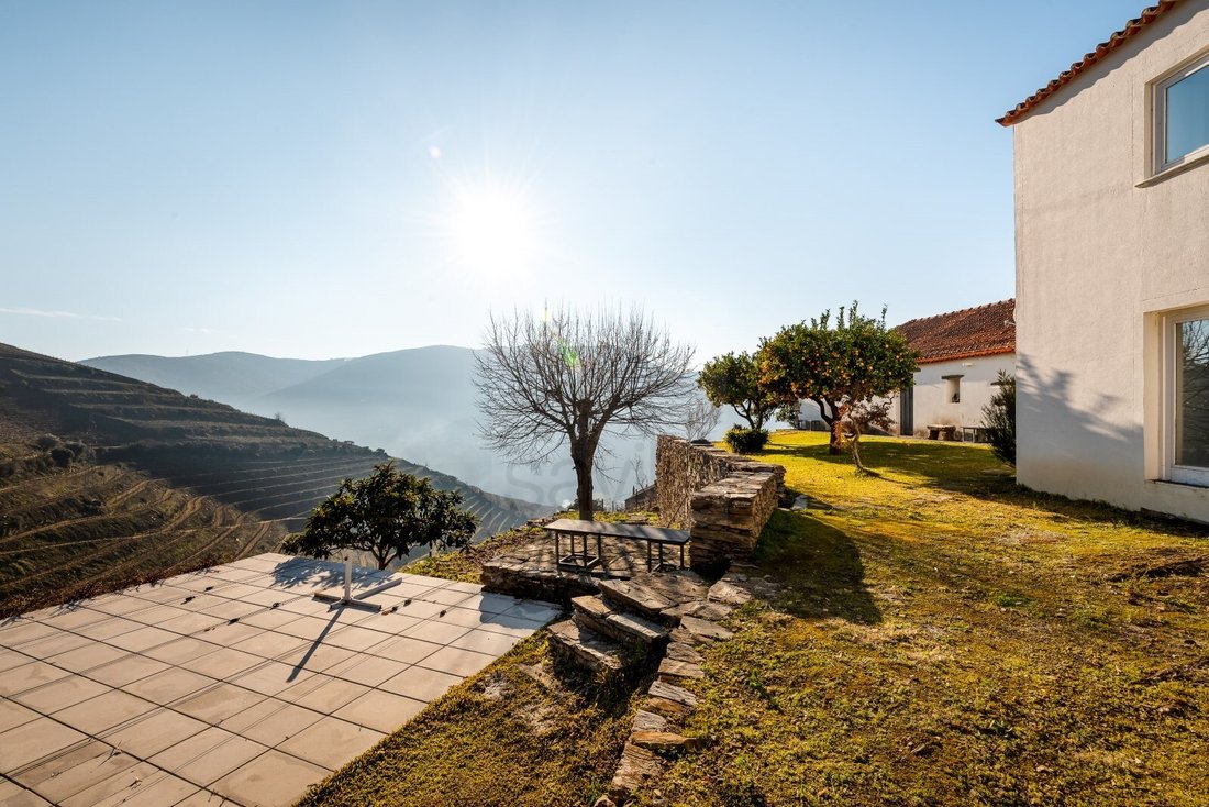 Finca in Ervedosa do Douro, Viseu District, Portugal 4 - 15092239