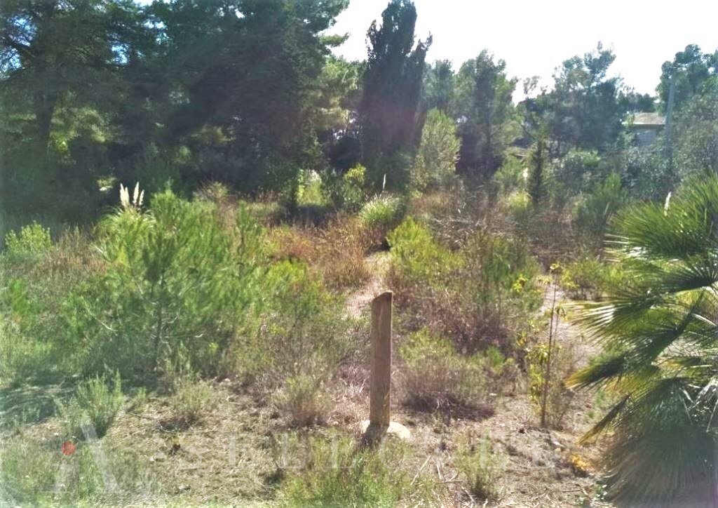 Terreno a Capdepera, Isole Baleari, Spagna 5 - 10696437