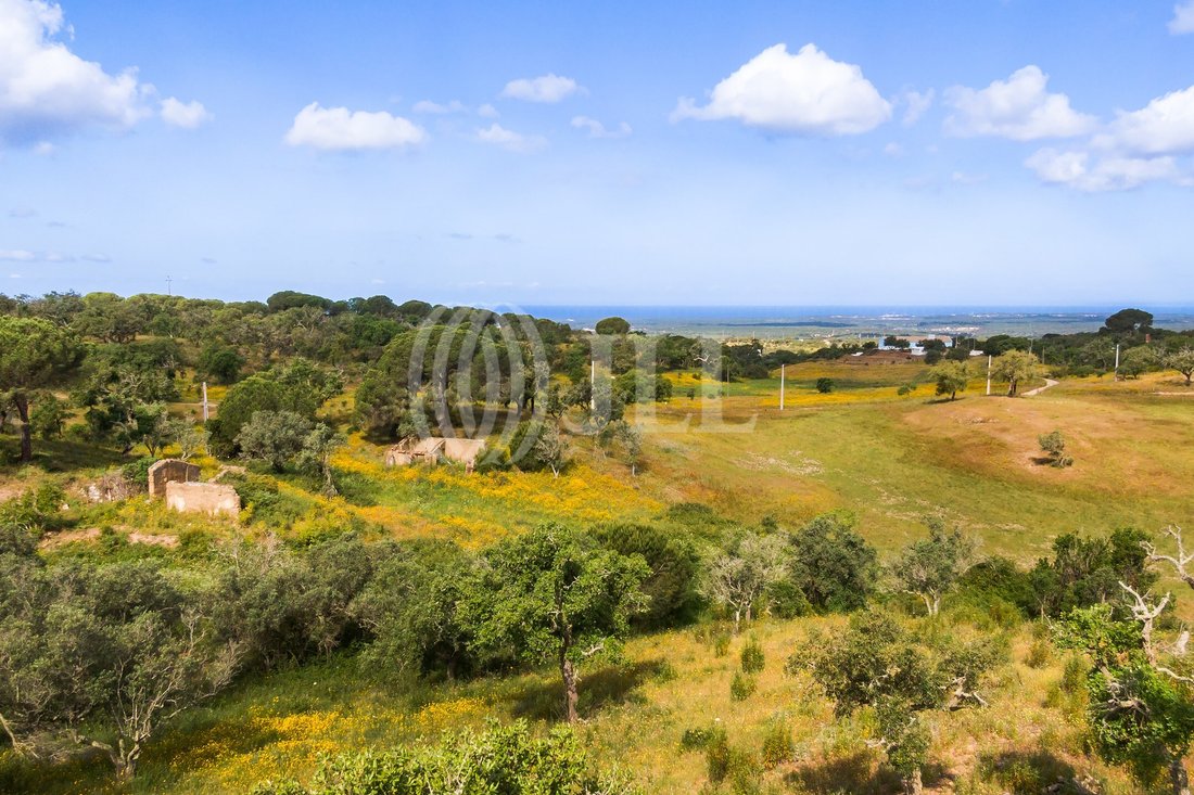 Land in Melides, Setubal, Portugal 1 - 13837016
