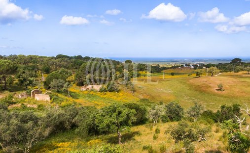 Terrain à Melides, Setúbal Municipality, Portugal 1