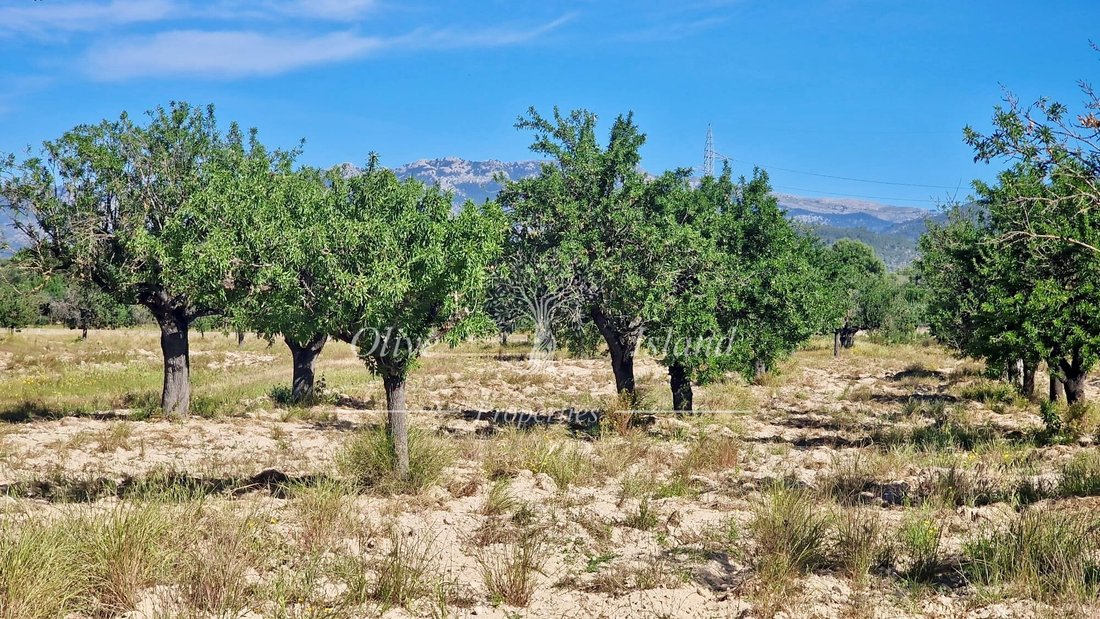 Land in Santa Maria del Cami, Balearic Islands, Spain 2 - 14947542