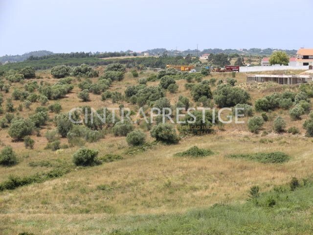 Land in Sintra, Lisbon, Portugal 1 - 12367215