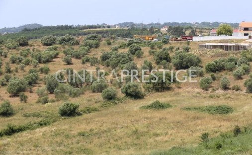 Land in Sintra, Lisbon, Portugal 1