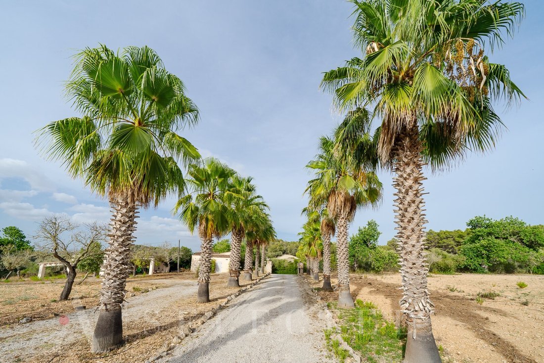 Chalet in Sant Joan, Balearic Islands, Spain 5 - 12207104