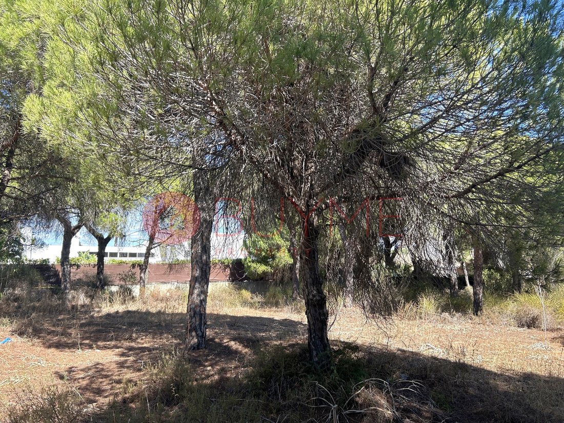 Land in Almancil, Algarve, Portugal 5 - 16487922