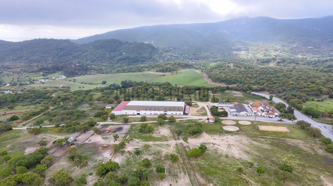 Finca in Azeitao (Sao Lourenco e Sao Simao), Setubal, Portugal 3 - 12489699