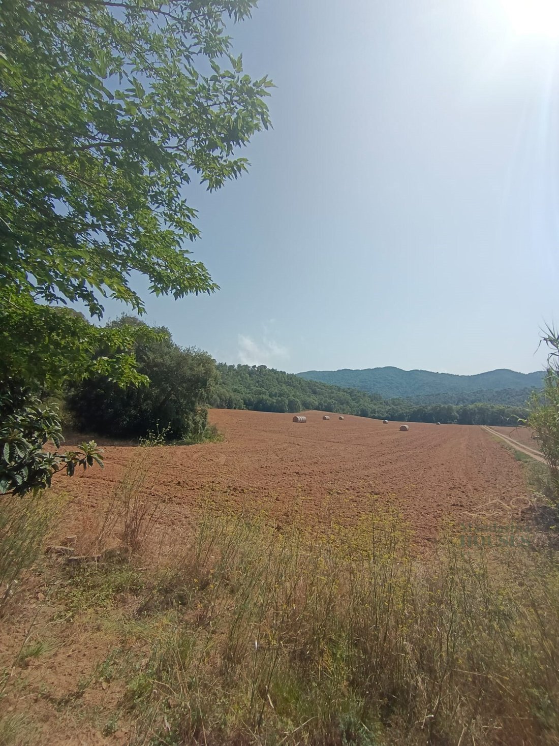 Finca in Tossa de Mar, Catalonia, Spain 5 - 11694085