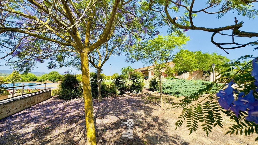 Finca in Manacor, Balearic Islands, Spain 5 - 12999889