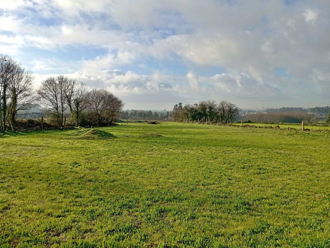 Land in Nogueira e Silva Escura, Porto District, Portugal 4 - 15216951