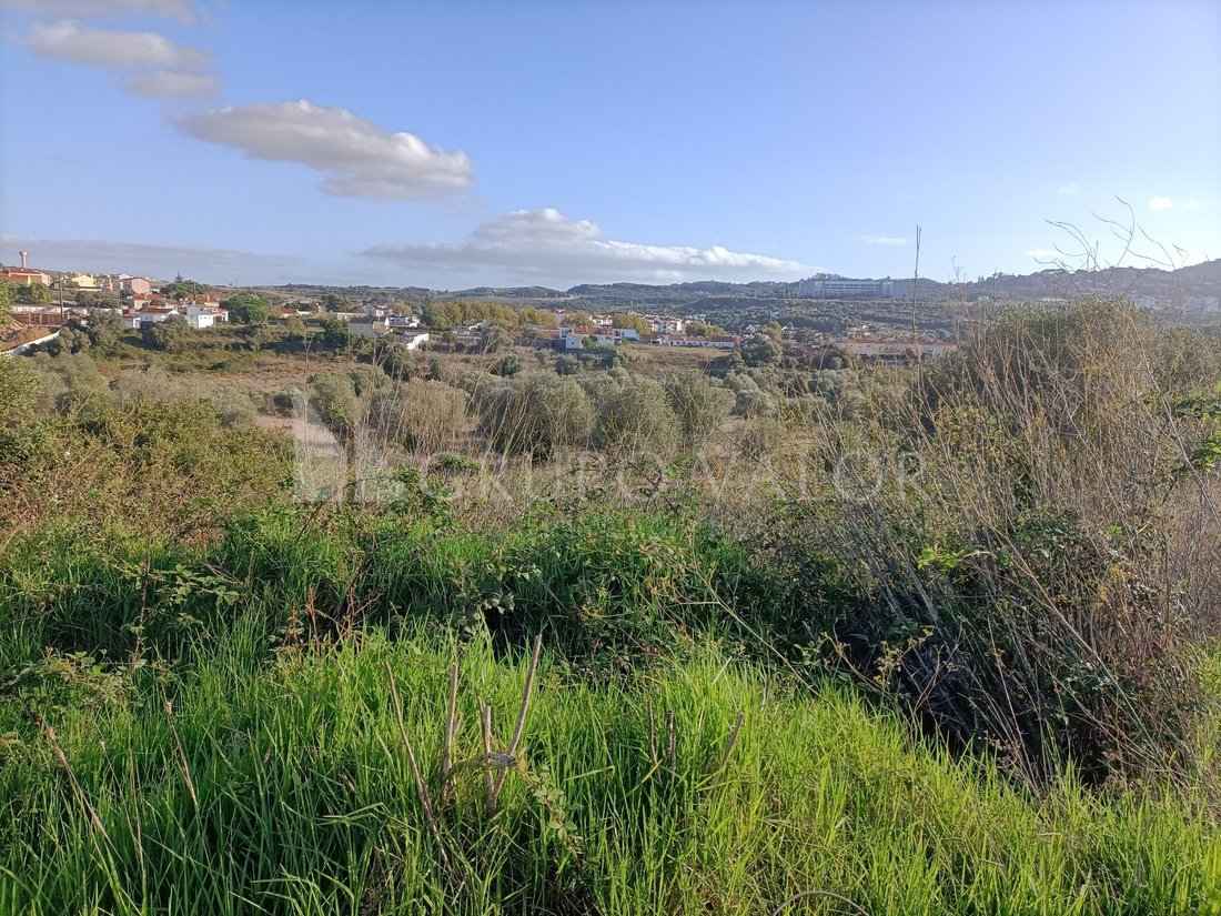 Land in Sintra, Lisbon, Portugal 5 - 16375211