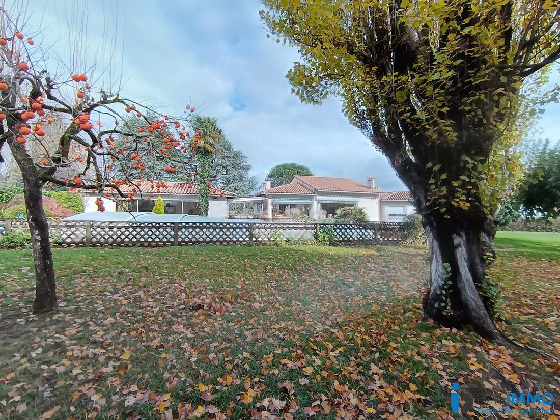 Villa in La Frucharie, Aussillon, France 4 - 16713976