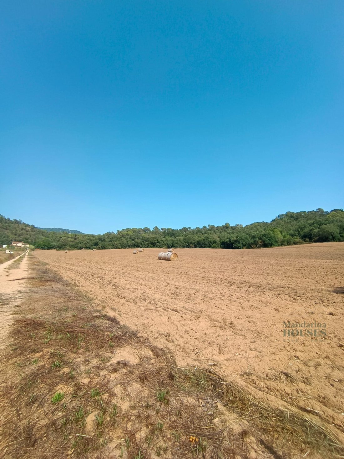 Finca in Tossa de Mar, Catalonia, Spain 2 - 11694085