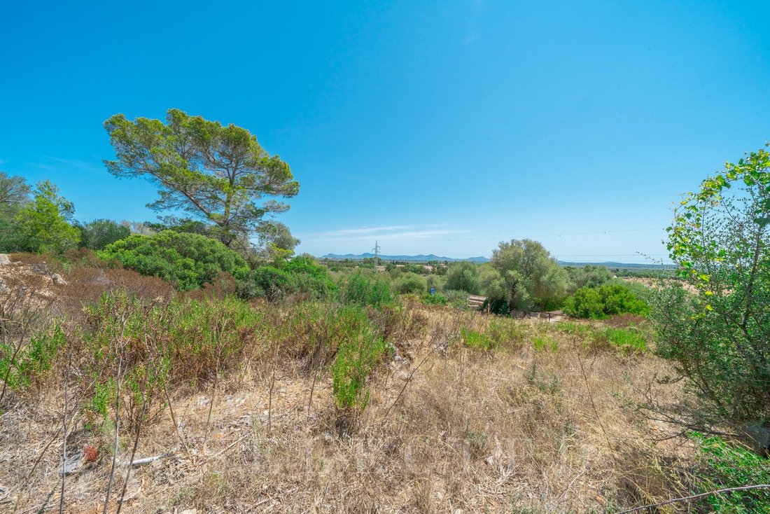 Land in Alcudia, Balearic Islands, Spain 1 - 12275891