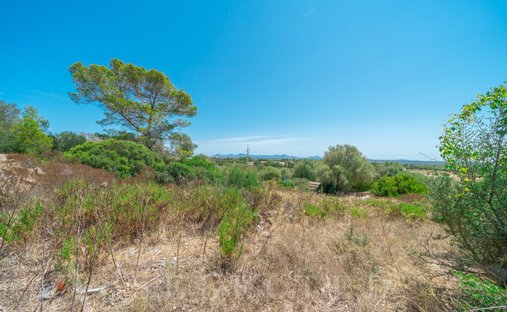 Land in Alcudia, Balearic Islands, Spain 1