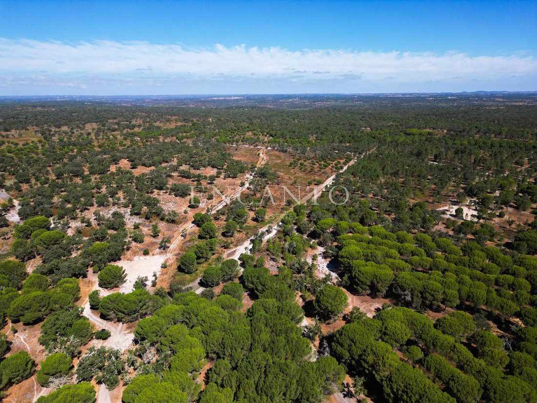 Estate in Setubal, Setubal, Portugal 1 - 16328829