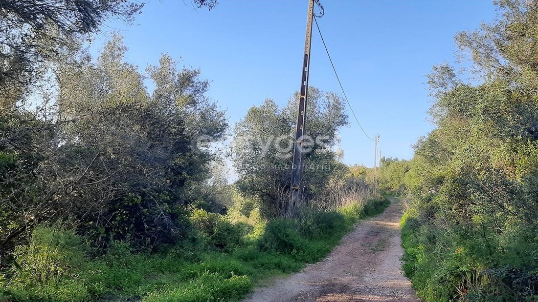 Land in Almargem do Bispo, Lisbon, Portugal 4 - 15639351