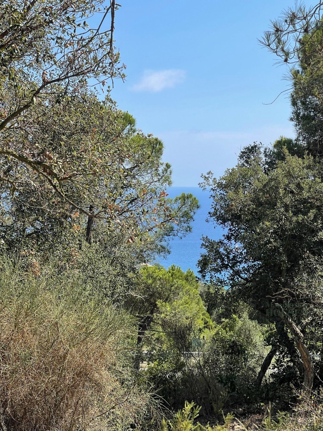 Finca in Tossa de Mar, Catalonia, Spain 2 - 11842381