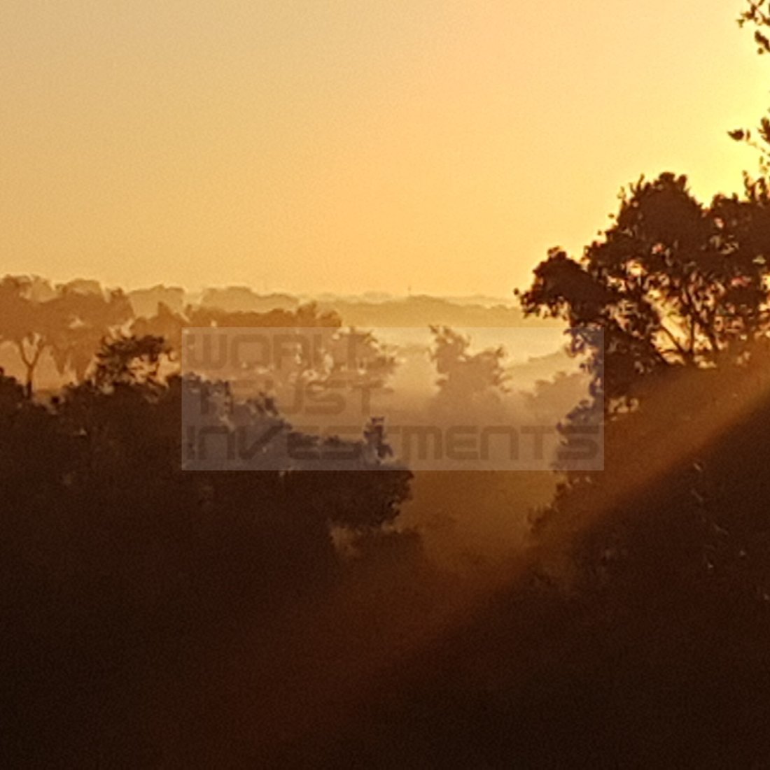 Land in Sines, Setubal, Portugal 3 - 12464074