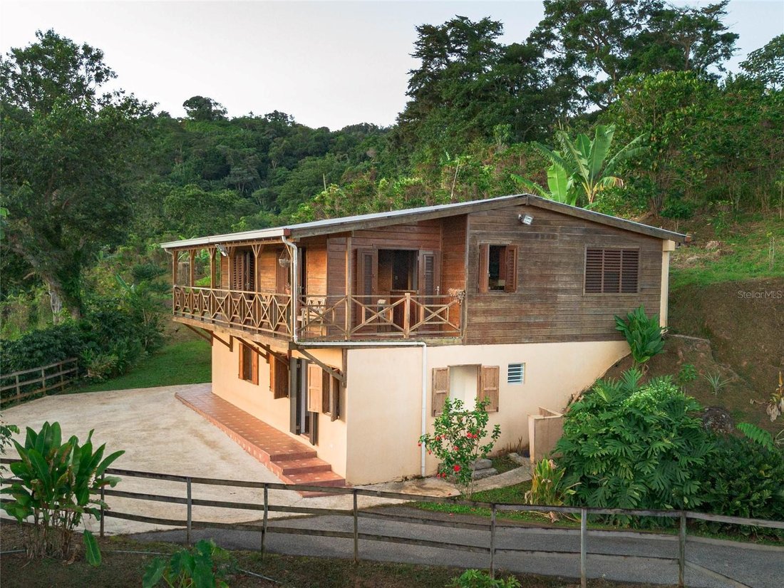 Puerto Rico Ranch Bosque Tanama In Adjuntas, Pr, United States For Sale (16718779)
