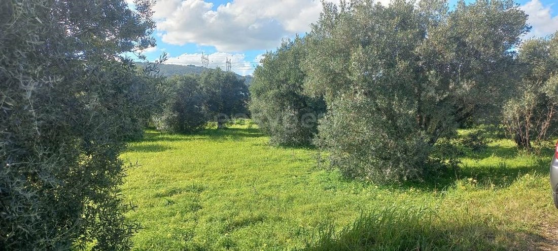 Land in Alverca do Ribatejo, Lisbon, Portugal 2 - 15728621